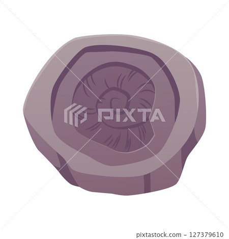 Rune with cochlea shell, clam, mollusk vector icon, archeologic fossil dig, ancient stone, rock with prehistoric symbol Rune with cochlea shell, clam, mollusk vector icon, archeologic fossil dig, ancient stone, rock with prehistoric symbol 127379610