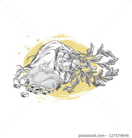 Maca root with leaves, supplement tablets and powder products vector sketch composition, hand drawn engraved superfood 127379646