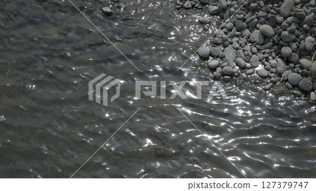 Kawahara Kawahara 127379747