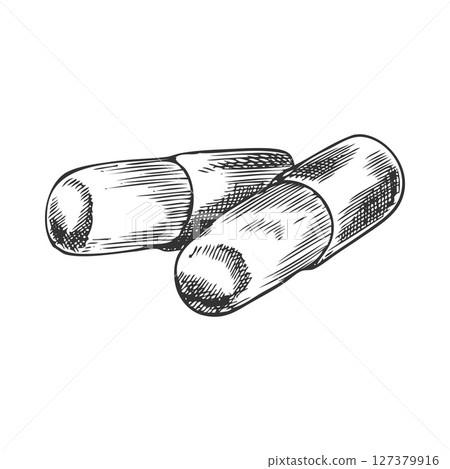 Maca root round sticks vector ink sketch, hand drawn engraved tuber superfood, organic seasoning, condiment ingredient 127379916