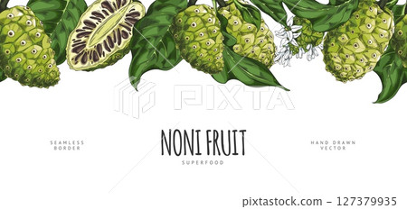 Horizontal banner with seamless top border of noni fruit with leaves and flowers, hand drawn. Horizontal banner with seamless top border of noni fruit with leaves and flowers, hand drawn. 127379935