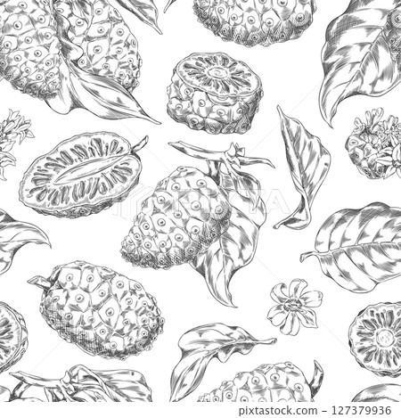 Noni fruit with leaves and flower vector sketch, seamless pattern hand drawn engraved design, morinda medicinal plant 127379936