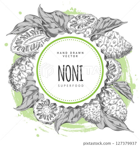 Round frame with whole and half noni fruit parts in black and white hand drawn sketch. 127379937