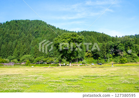 一乘谷朝倉氏遺址 127380595