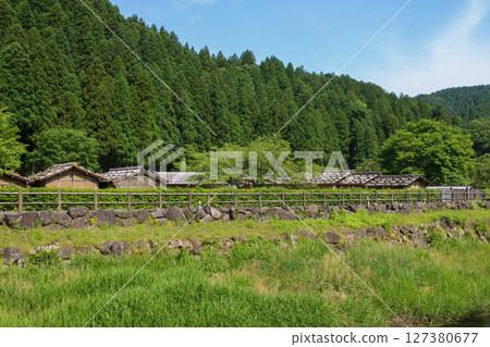 一乘谷朝倉氏遺址 127380677