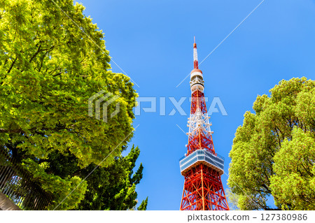 Tokyo Tower shining against the blue sky, seen from Shiba Park with its fresh greenery Tokyo Tower shining against the blue sky, seen from Shiba Park with its fresh greenery 127380986