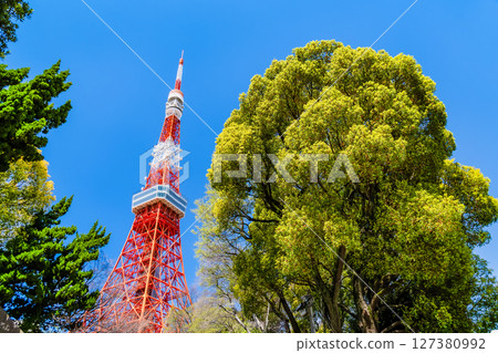 Tokyo Tower shining against the blue sky, seen from Shiba Park with its fresh greenery 127380992