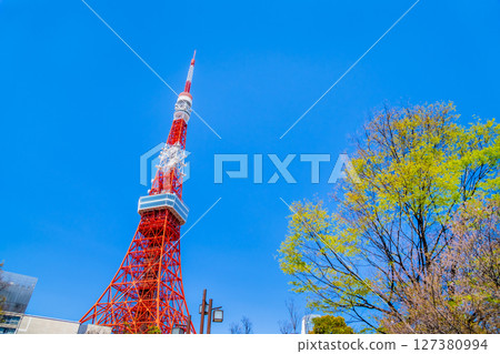 從綠意盎然的芝公園眺望，東京鐵塔在藍天映襯下熠熠生輝 127380994