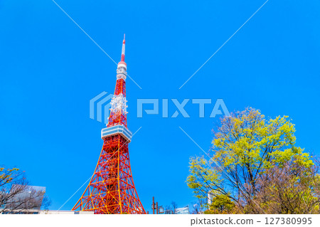 Tokyo Tower shining against the blue sky, seen from Shiba Park with its fresh greenery 127380995