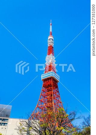 從綠意盎然的芝公園眺望，東京鐵塔在藍天映襯下熠熠生輝 127381000