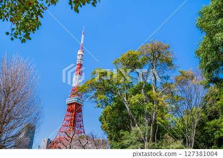 從綠意盎然的芝公園眺望，東京鐵塔在藍天映襯下熠熠生輝 127381004