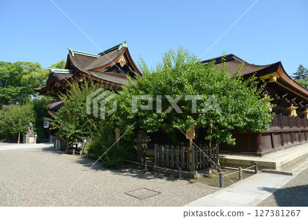 Kitano Tenmangu Shrine, Sankomon Gate and East Corridor, Kamigyo Ward, Kyoto City 127381267