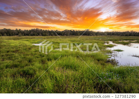 Tropical wetlands with fresh water lake between green wild vegetation in southern Florida 127381290