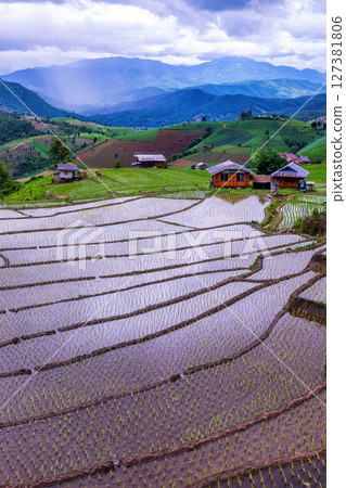 Rice Terrace Pa Bong Piang village is starting to plant rice in Chiang Mai, Thailand 127381806