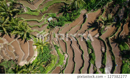 Tegalalang rice terraces in Ubud, Bali 127382277