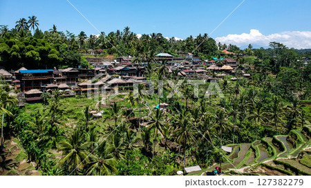 峇裡島烏布德格拉朗梯田 127382279