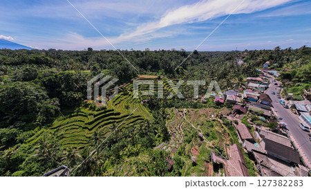 Tegalalang rice terraces in Ubud, Bali 127382283