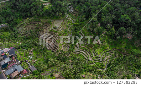 Tegalalang rice terraces in Ubud, Bali 127382285