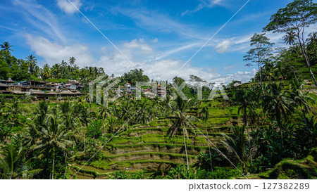 Tegalalang rice terraces in Ubud, Bali 127382289