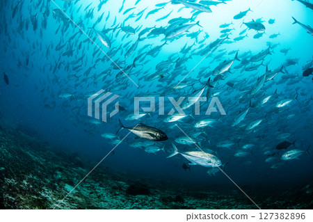 超越急流 127382896