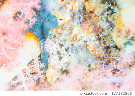 迷人的環境 迷人的環境 127382898