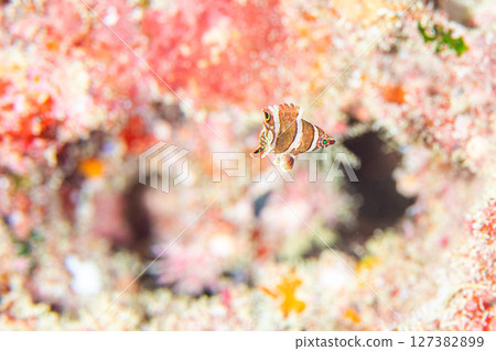 高面偏差值 高面偏差值 127382899