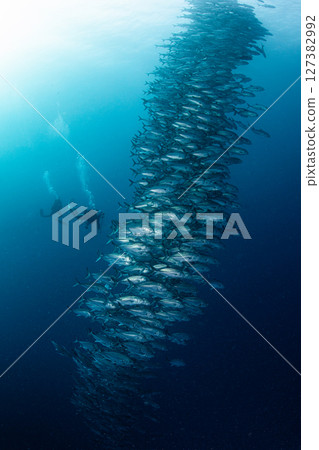 Gingame Tower Gingame Tower 127382992