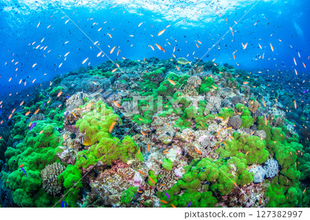 The scenery of those days 127382997