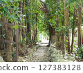 綠色包圍的道路 127383128