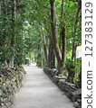 綠色環繞的道路 127383129