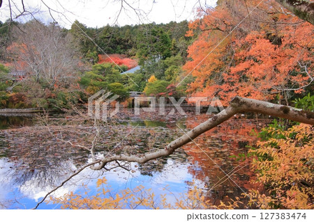 以京都的岩石花園而聞名的龍安寺和秋葉隱密勝地鏡陽池 以京都的岩石花園而聞名的龍安寺和秋葉隱密勝地鏡陽池 127383474