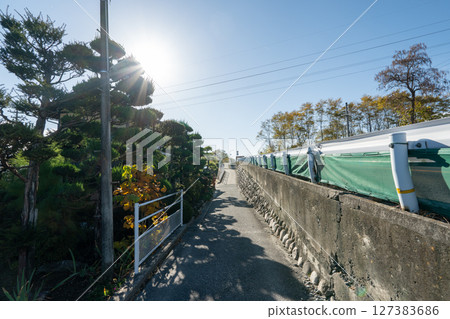 The historic old road "Salt Road" and its surrounding areas 127383686