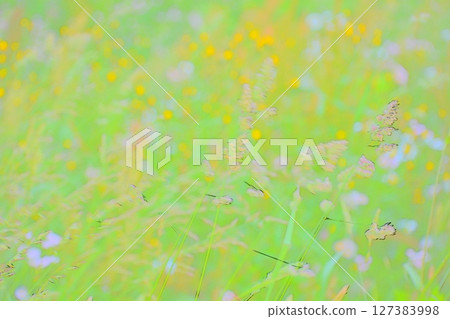 Photo illustration Photo illustration 127383998