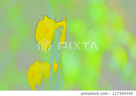 Photo illustration 127384349