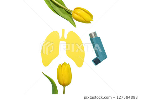 Tulips and lungs with an inhaler, isolated on white background Tulips and lungs with an inhaler, isolated on white background 127384888