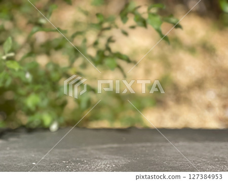 A blurred background with green foliage and a soft, natural setting. A blurred background with green foliage and a soft, natural setting. 127384953