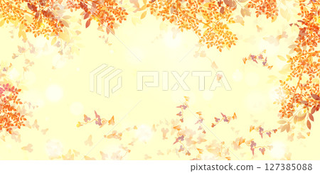  秋葉槭樹秋天背景 127385088