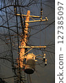 Electric poles lit by the setting sun 127385097