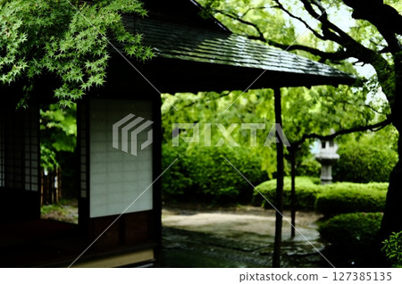 Fresh green maple leaves and paper screens 127385135
