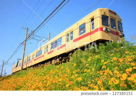 科倫拜恩和西鐵600系列列車(西日本鐵路) 科倫拜恩和西鐵600系列列車(西日本鐵路) 127385151