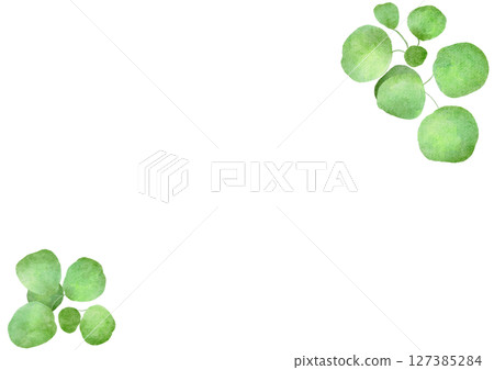Green plant watercolor leaf illustration 127385284