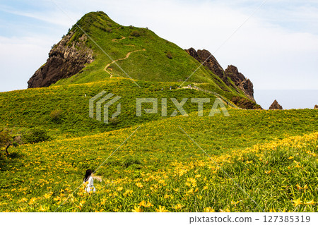 [Niigata Prefecture_Oonogame] Sado, the island of flowers, a yellow carpet covering the land, and the deep blue Sea of Japan May June 127385319