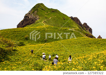 【新潟縣_Oonogame】佐渡，花之島，大地鋪滿黃色的地毯，還有深藍色的日本海 5月 6月 127385322