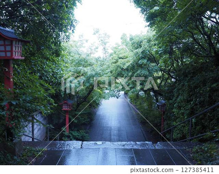 雨後的接近 127385411