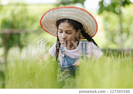 Girl wearing straw Hat tending to work in nursery arranging young rice plants and breeding seedlings in greenhouse. Engaging in Gardening Activities. showcasing her dedication to farming. 127385580