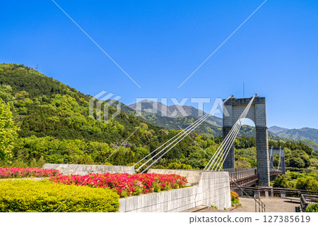 戶川公園：綠意盎然的吊橋（神奈川縣秦野市） 127385619
