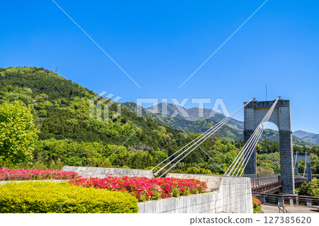 戶川公園：綠意盎然的吊橋（神奈川縣秦野市） 127385620