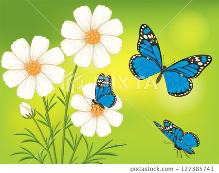 Blue Butterflies and White Flowers on Green Background Blue Butterflies and White Flowers on Green Background 127385741