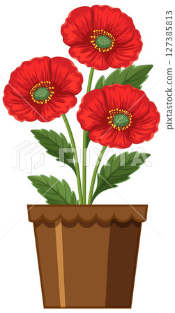 Vibrant Red Poppies in a Brown Pot Vibrant Red Poppies in a Brown Pot 127385813