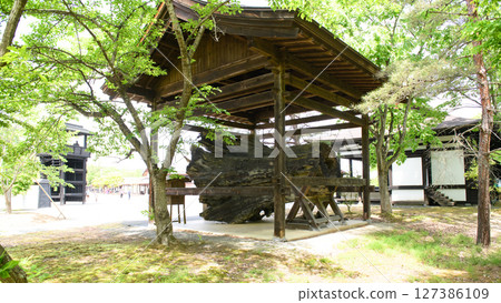 Enmei Sen Nen Cedar, Esashi Fujiwara no Sato, Iwate Prefecture 127386109